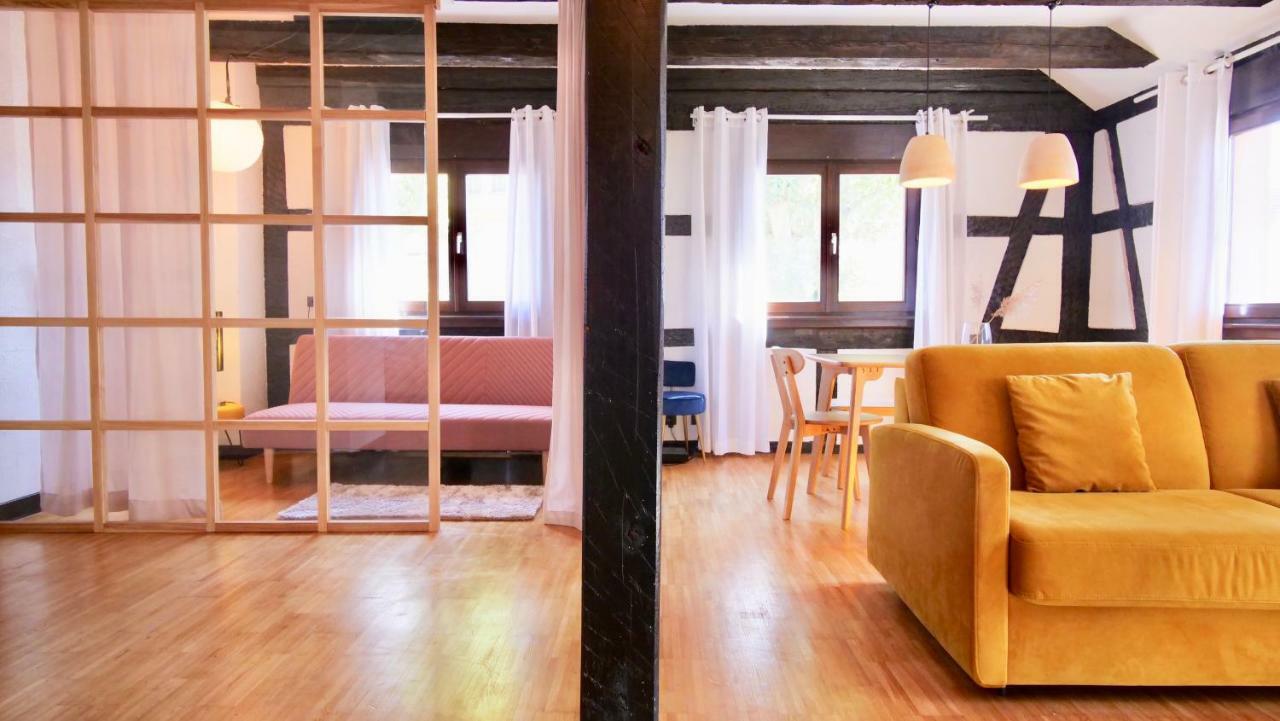 Bonheur Apartment Schiltigheim Bagian luar foto
